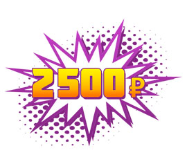 Спец. цена 2500р.