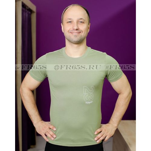 CN3104-380 Футболка мужская от Jordan (хаки)