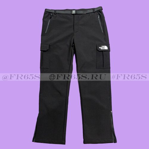8031 Штаны от TNF (чёрный)