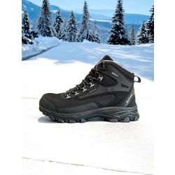 W2590-1 /SAPPER