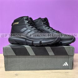 AD650022312 Кроссовки Adidas Terrex GTX Mid (черный)