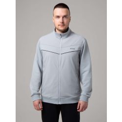 E2493-4 Толстовка мужская STROBBS (серый)